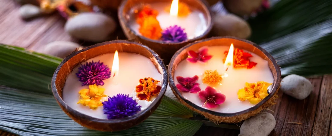 Embrace Nature’s Charm with SereneSpark Coconut Shell Candles