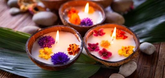 Embrace Nature’s Charm with SereneSpark Coconut Shell Candles